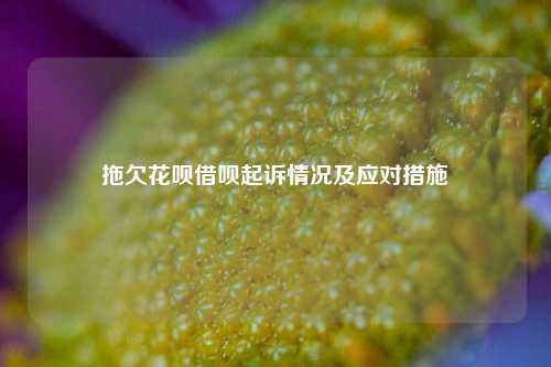 拖欠花呗借呗起诉情况及应对措施