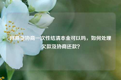 网商贷协商一次性结清本金可以吗，如何处理欠款及协商还款？