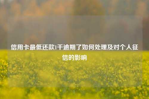 信用卡最低还款1千逾期了如何处理及对个人征信的影响