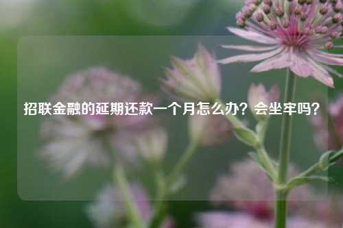 招联金融的延期还款一个月怎么办？会坐牢吗？