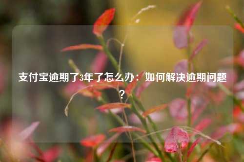 支付宝逾期了3年了怎么办：如何解决逾期问题？