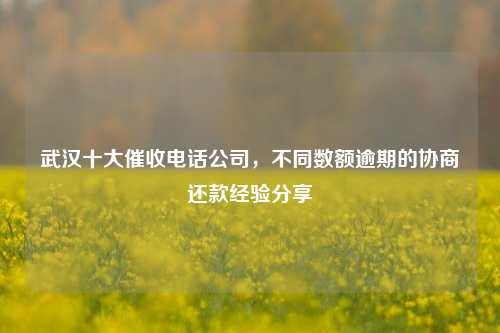 武汉十大催收电话公司，不同数额逾期的协商还款经验分享