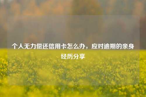 个人无力偿还信用卡怎么办，应对逾期的亲身经历分享