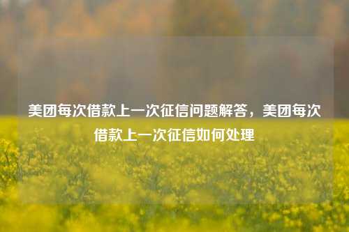 美团每次借款上一次征信问题解答，美团每次借款上一次征信如何处理