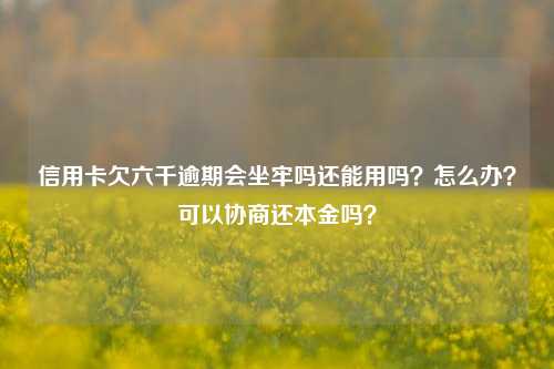 信用卡欠六千逾期会坐牢吗还能用吗？怎么办？可以协商还本金吗？