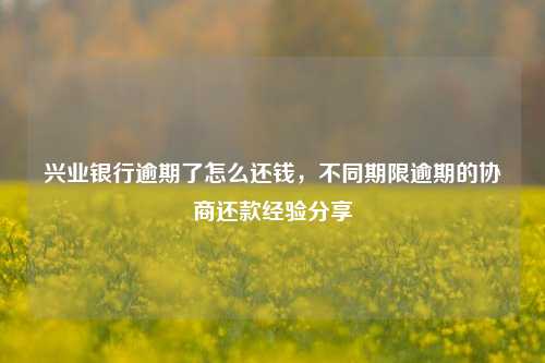 兴业银行逾期了怎么还钱，不同期限逾期的协商还款经验分享