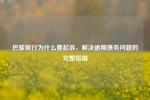 巴黎银行为什么要起诉，解决逾期债务问题的完整指南