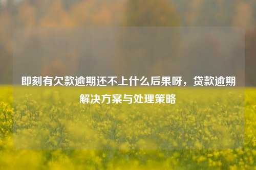 即刻有欠款逾期还不上什么后果呀，贷款逾期解决方案与处理策略