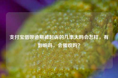 支付宝借呗逾期被起诉的几率大吗会怎样，有影响吗，会催收吗？