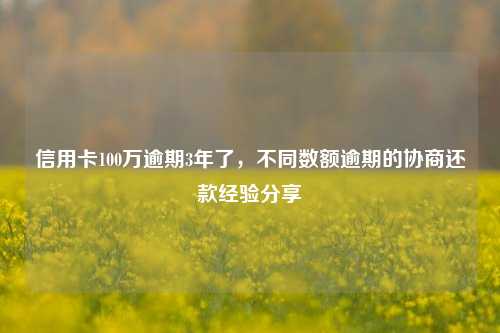 信用卡100万逾期3年了，不同数额逾期的协商还款经验分享