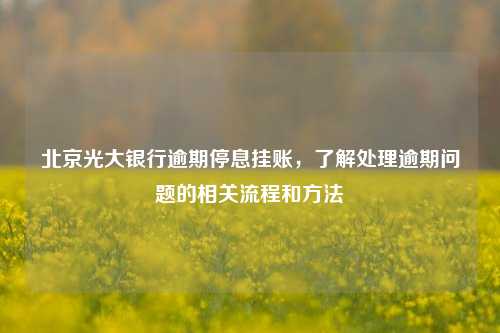 北京光大银行逾期停息挂账，了解处理逾期问题的相关流程和方法