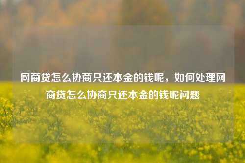 网商贷怎么协商只还本金的钱呢，如何处理网商贷怎么协商只还本金的钱呢问题