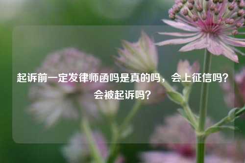 起诉前一定发律师函吗是真的吗，会上征信吗？会被起诉吗？