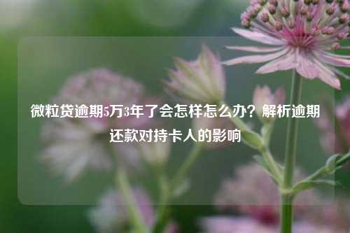 微粒贷逾期5万3年了会怎样怎么办？解析逾期还款对持卡人的影响