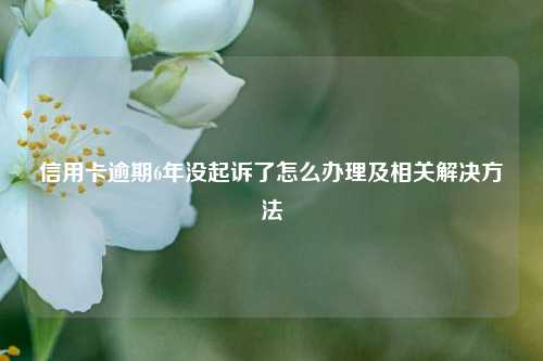 信用卡逾期6年没起诉了怎么办理及相关解决方法