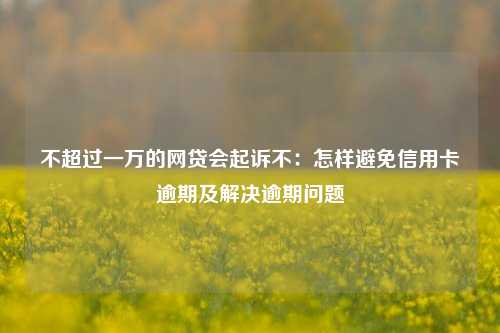 不超过一万的网贷会起诉不：怎样避免信用卡逾期及解决逾期问题