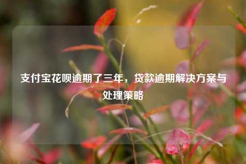 支付宝花呗逾期了三年，贷款逾期解决方案与处理策略