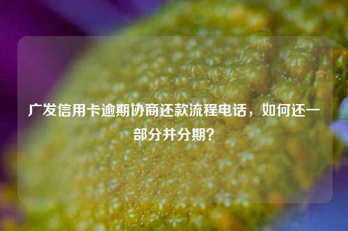 广发信用卡逾期协商还款流程电话，如何还一部分并分期？