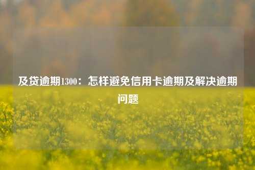 及贷逾期1300：怎样避免信用卡逾期及解决逾期问题