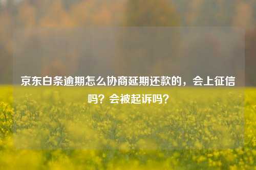 京东白条逾期怎么协商延期还款的，会上征信吗？会被起诉吗？