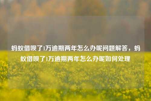 蚂蚁借呗了1万逾期两年怎么办呢问题解答，蚂蚁借呗了1万逾期两年怎么办呢如何处理