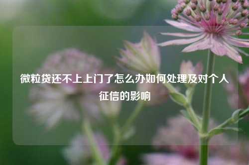 微粒贷还不上上门了怎么办如何处理及对个人征信的影响