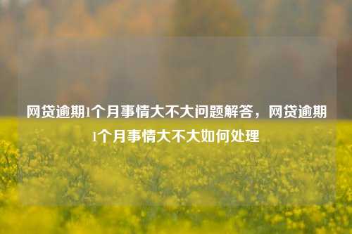 网贷逾期1个月事情大不大问题解答，网贷逾期1个月事情大不大如何处理