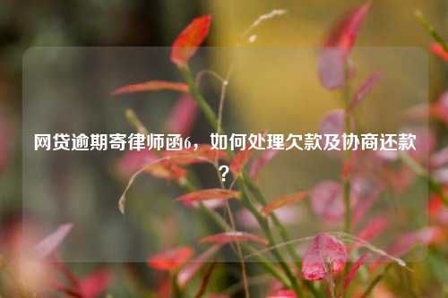 网贷逾期寄律师函6，如何处理欠款及协商还款？