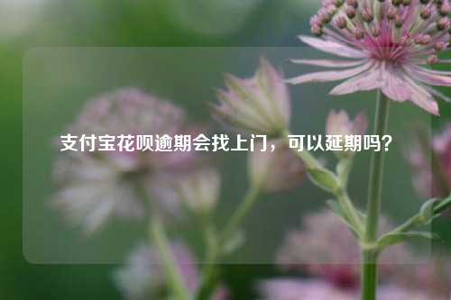 支付宝花呗逾期会找上门，可以延期吗？