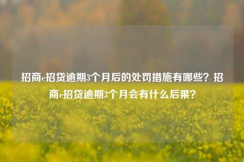 招商e招贷逾期3个月后的处罚措施有哪些？招商e招贷逾期3个月会有什么后果？