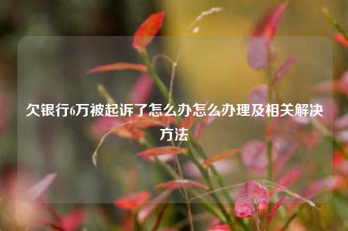 欠银行6万被起诉了怎么办怎么办理及相关解决方法