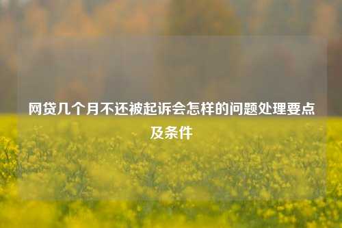 网贷几个月不还被起诉会怎样的问题处理要点及条件