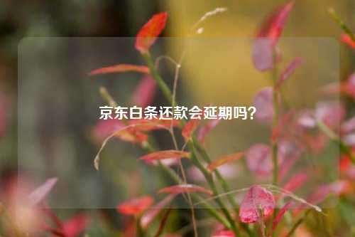 京东白条还款会延期吗？