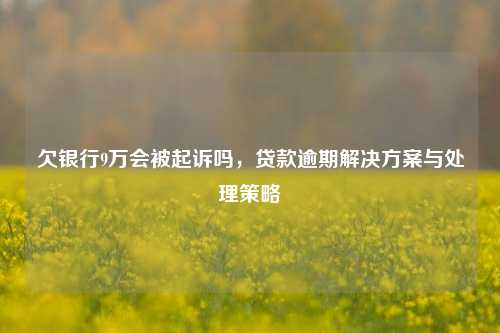 欠银行9万会被起诉吗，贷款逾期解决方案与处理策略