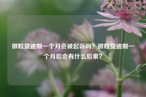 微粒贷逾期一个月会被起诉吗？微粒贷逾期一个月后会有什么后果？