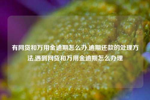 有网贷和万用金逾期怎么办,逾期还款的处理方法,遇到网贷和万用金逾期怎么办理