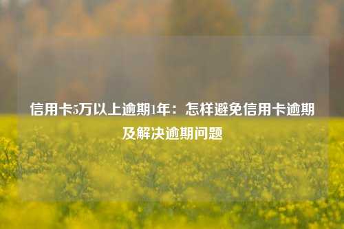 信用卡5万以上逾期1年：怎样避免信用卡逾期及解决逾期问题