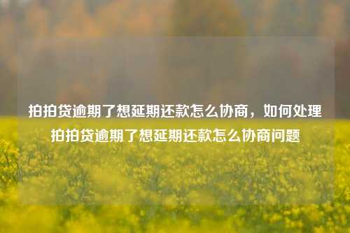 拍拍贷逾期了想延期还款怎么协商，如何处理拍拍贷逾期了想延期还款怎么协商问题