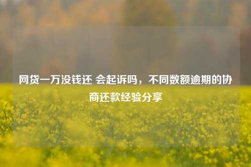 网贷一万没钱还 会起诉吗，不同数额逾期的协商还款经验分享