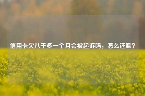 信用卡欠八千多一个月会被起诉吗，怎么还款？