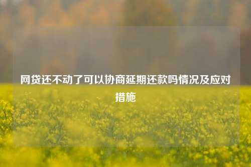 网贷还不动了可以协商延期还款吗情况及应对措施