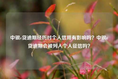 中银e贷逾期经历对个人信用有影响吗？中银e贷逾期会被列入个人征信吗？