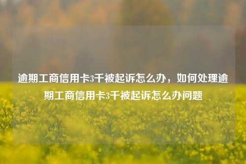 逾期工商信用卡3千被起诉怎么办，如何处理逾期工商信用卡3千被起诉怎么办问题