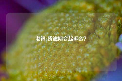 渤银e贷逾期会起诉么？