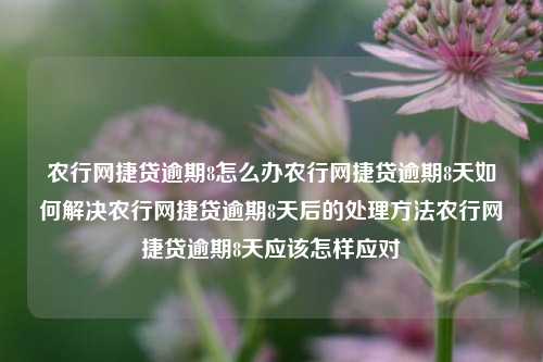 农行网捷贷逾期8怎么办农行网捷贷逾期8天如何解决农行网捷贷逾期8天后的处理方法农行网捷贷逾期8天应该怎样应对