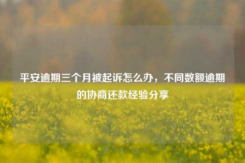 平安逾期三个月被起诉怎么办，不同数额逾期的协商还款经验分享