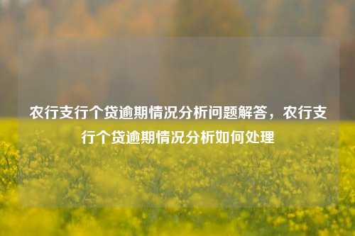 农行支行个贷逾期情况分析问题解答，农行支行个贷逾期情况分析如何处理