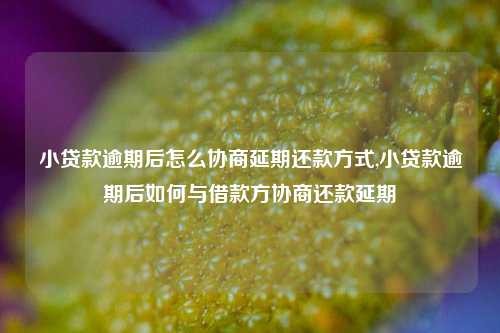 小贷款逾期后怎么协商延期还款方式,小贷款逾期后如何与借款方协商还款延期