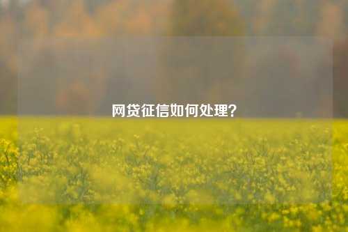 网贷征信如何处理？