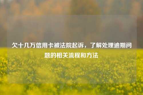 欠十几万信用卡被法院起诉，了解处理逾期问题的相关流程和方法